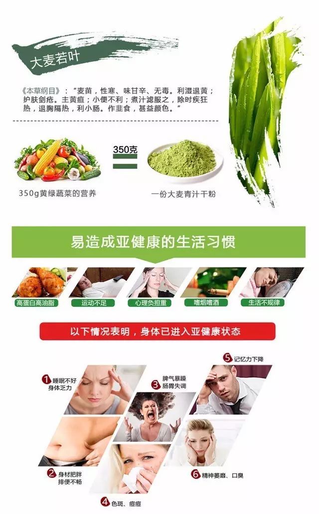 喝富硒大麦茶(喝大麦茶富硒会胖吗)-硒宝网