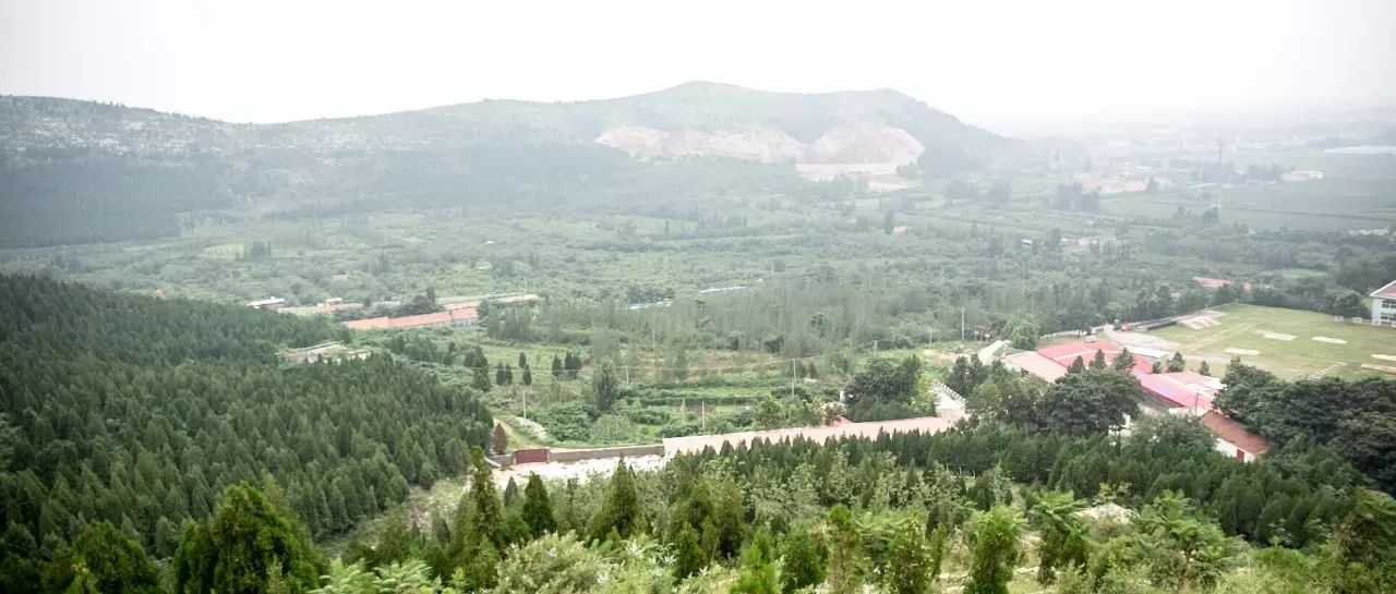 喝富硒大麦茶(喝大麦茶富硒会胖吗)-硒宝网