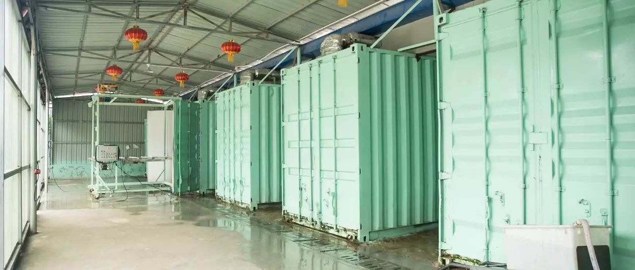 喝富硒大麦茶(喝大麦茶富硒会胖吗)-硒宝网