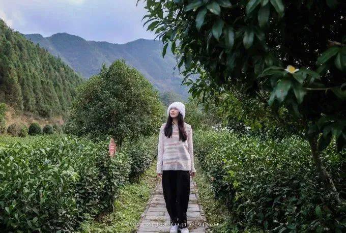 富硒茶仙寓山（仙寓山富硒村）-硒宝网