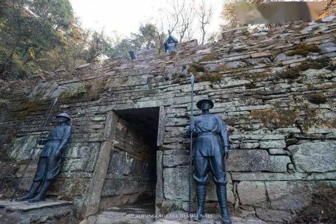 富硒茶仙寓山（仙寓山富硒村）-硒宝网