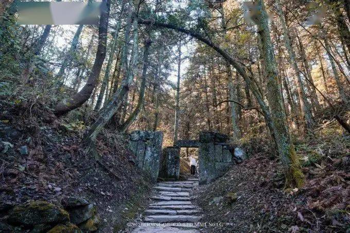 富硒茶仙寓山（仙寓山富硒村）-硒宝网