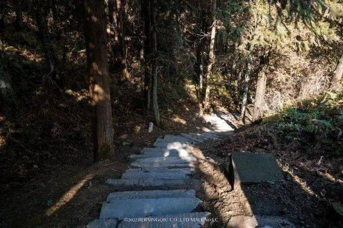 富硒茶仙寓山（仙寓山富硒村）-硒宝网