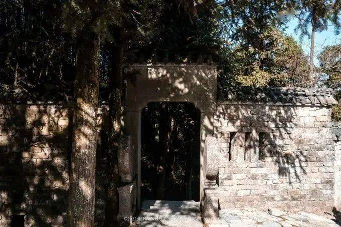 富硒茶仙寓山（仙寓山富硒村）-硒宝网