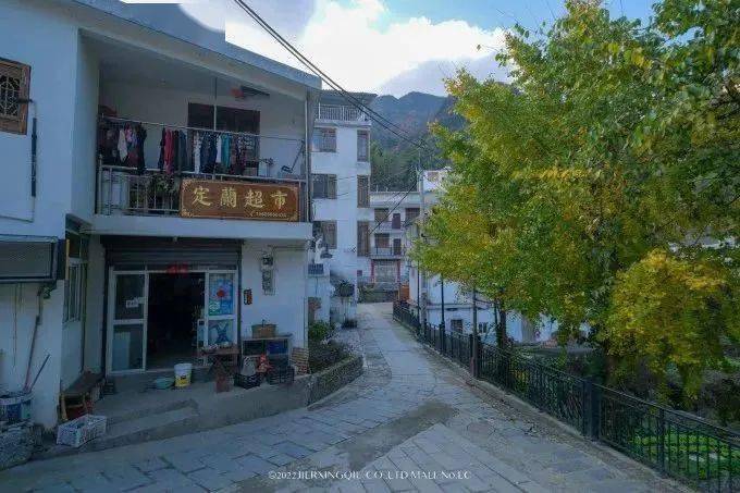 富硒茶仙寓山（仙寓山富硒村）-硒宝网