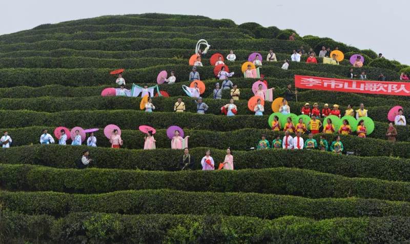 猫山富硒茶采(仙人尖仙寓山富硒野茶)-硒宝网