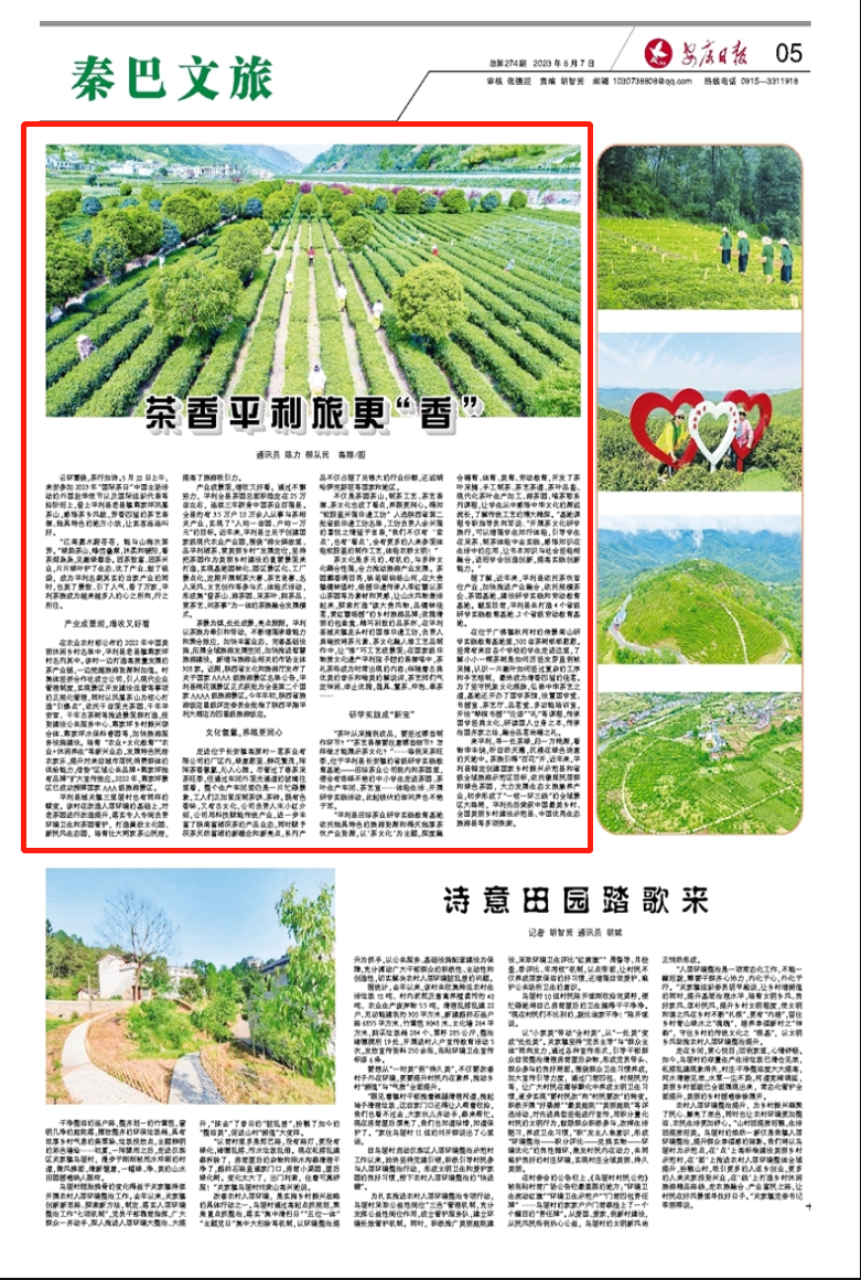 富硒茶解说词（富硒茶营销策划方案）-硒宝网