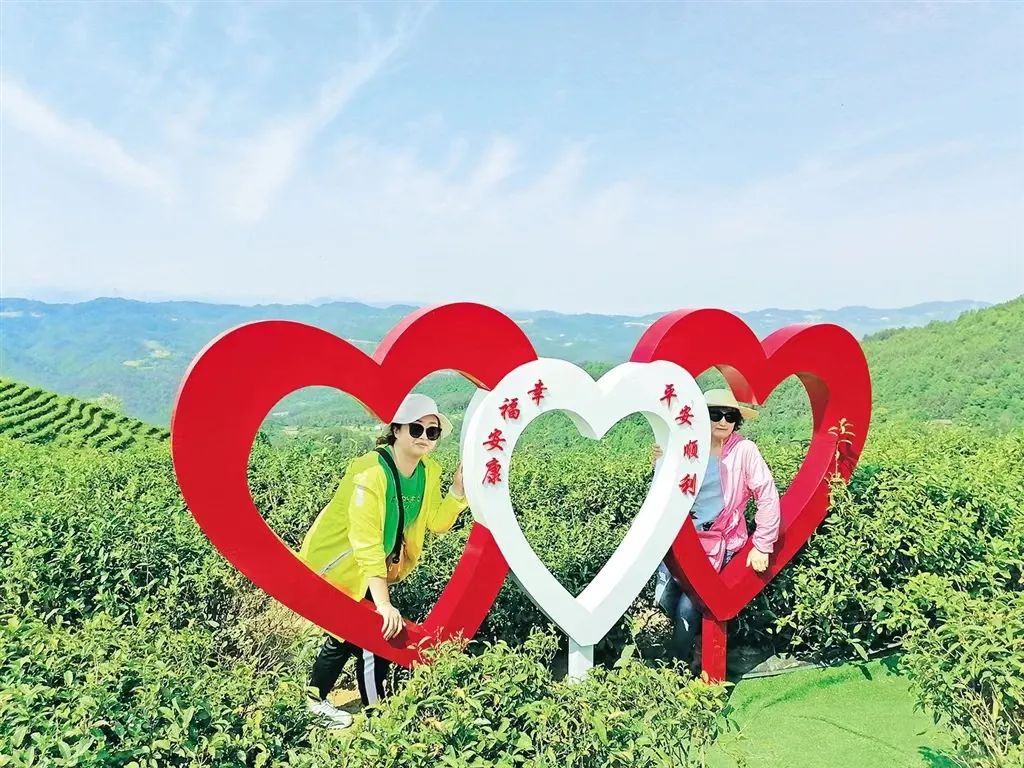 富硒茶解说词（富硒茶营销策划方案）-硒宝网