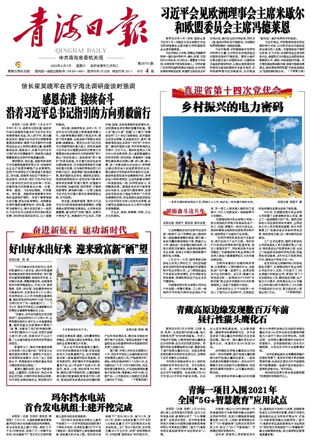 富硒黑苦芥茶(苦芥茶是黑的好还是黄的好)-硒宝网