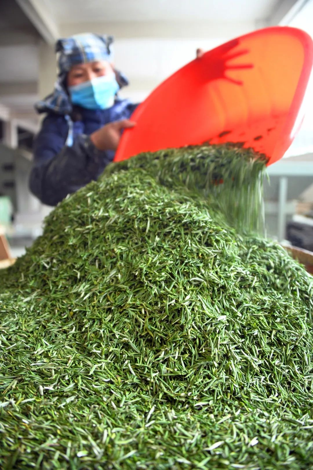 宣恩县富硒茶（恩施富硒茶）-硒宝网