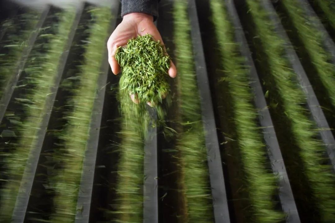 宣恩县富硒茶（恩施富硒茶）-硒宝网