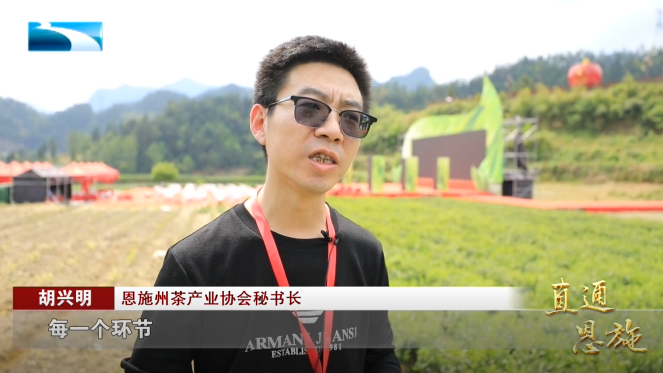 宣恩县富硒茶(恩施富硒茶硒含量)-硒宝网