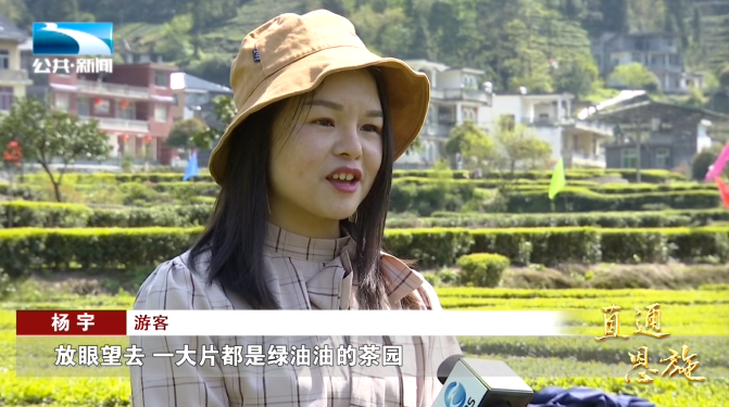 宣恩县富硒茶(恩施富硒茶硒含量)-硒宝网