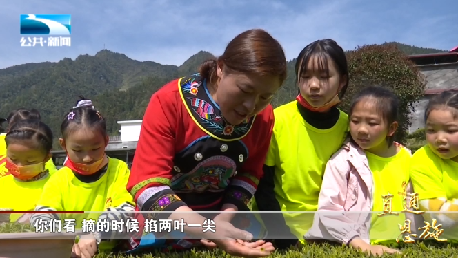 宣恩县富硒茶(恩施富硒茶硒含量)-硒宝网