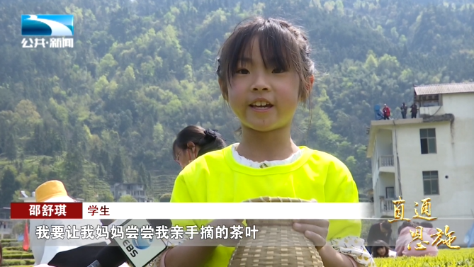 宣恩县富硒茶(恩施富硒茶硒含量)-硒宝网