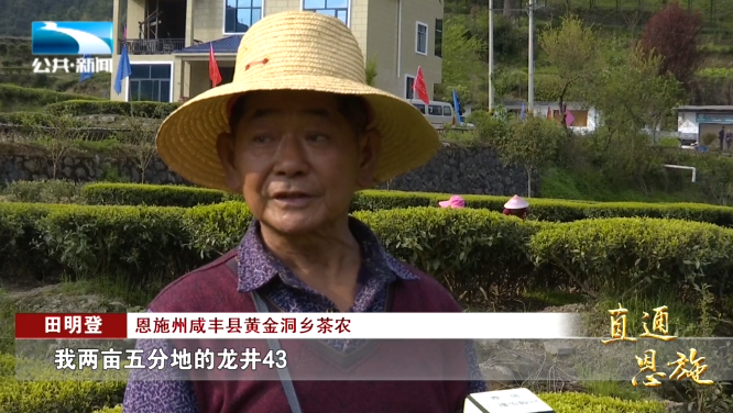 宣恩县富硒茶(恩施富硒茶硒含量)-硒宝网