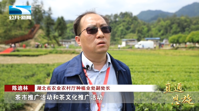 宣恩县富硒茶(恩施富硒茶硒含量)-硒宝网