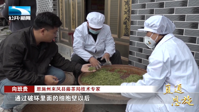 宣恩县富硒茶(恩施富硒茶硒含量)-硒宝网
