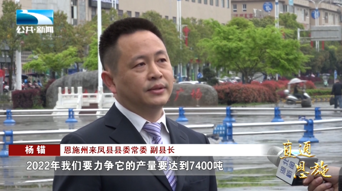 宣恩县富硒茶(恩施富硒茶硒含量)-硒宝网