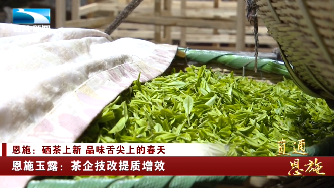 宣恩县富硒茶(恩施富硒茶硒含量)-硒宝网