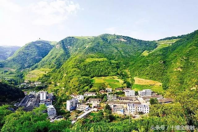 富硒茶南贡河（富硒贡茶价格）-硒宝网