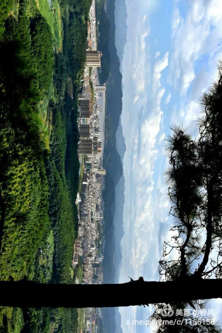 富硒茶南贡河（富硒贡茶价格）-硒宝网