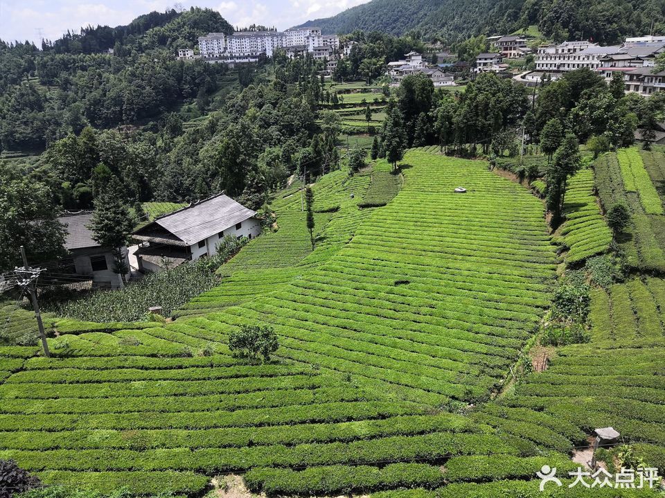 土家族富硒茶（富硒茶庄）-硒宝网