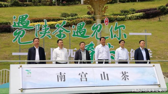 如何做富硒茶(富硒茶具)-硒宝网