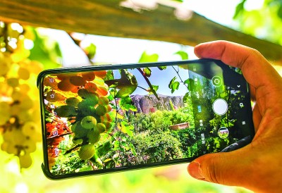 富硒茶顺口溜（茶顺口溜）-硒宝网