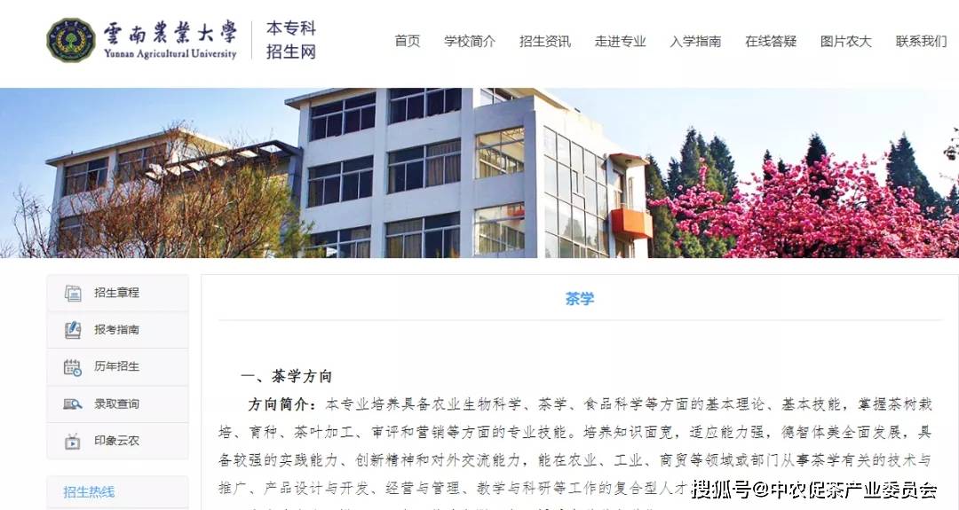 富硒茶广告片（茶片广告富硒怎么做）-硒宝网