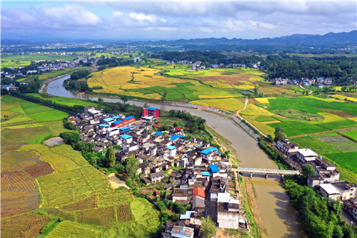 七都镇富硒茶(富硒茶庄)-硒宝网