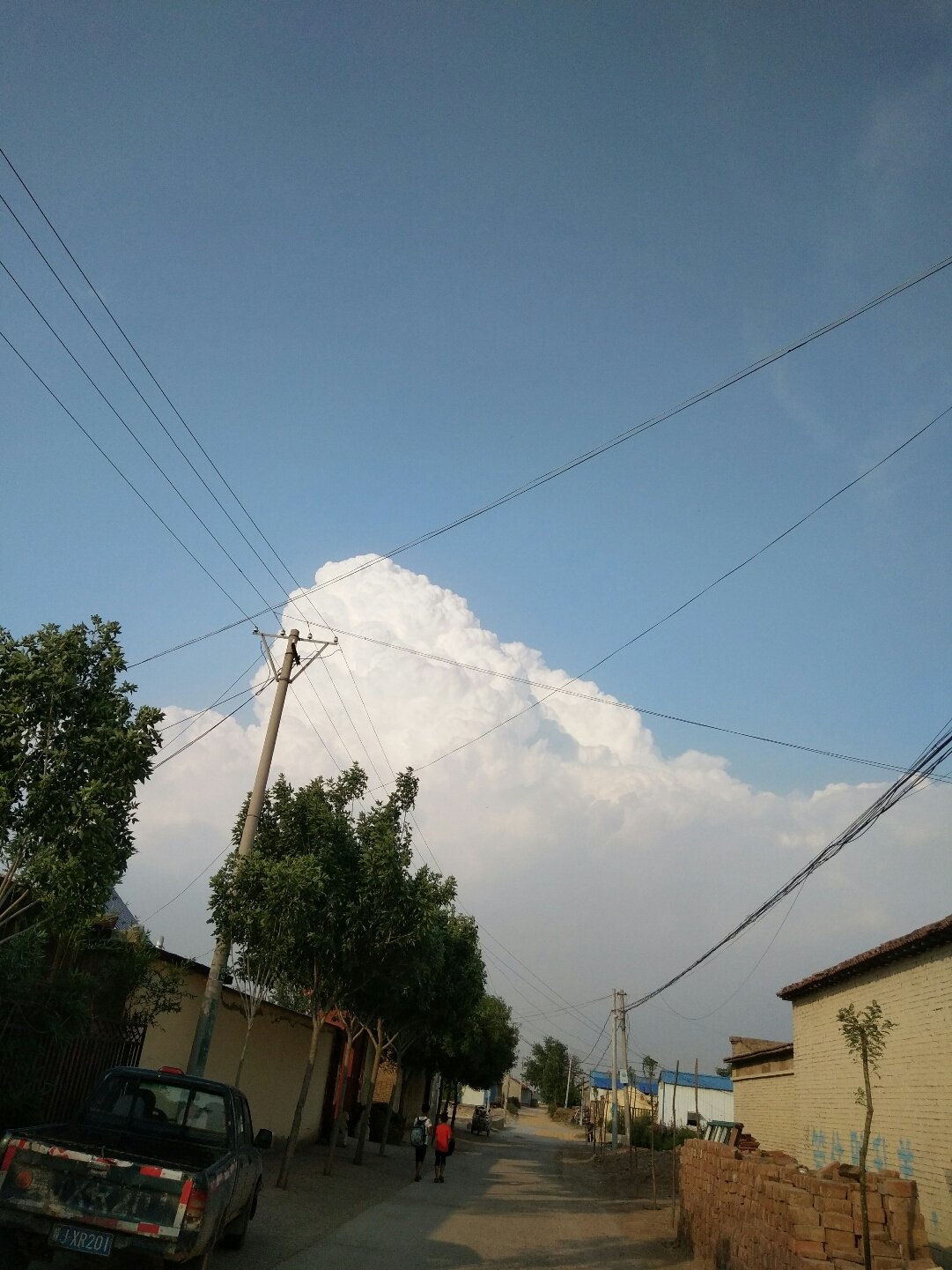 七都镇富硒茶(富硒茶庄)-硒宝网