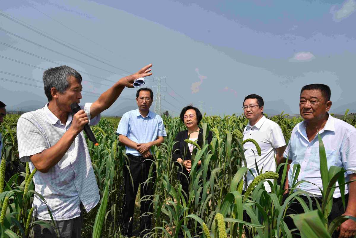 平利县富硒茶（平利县富硒堂茶业有限公司）-硒宝网