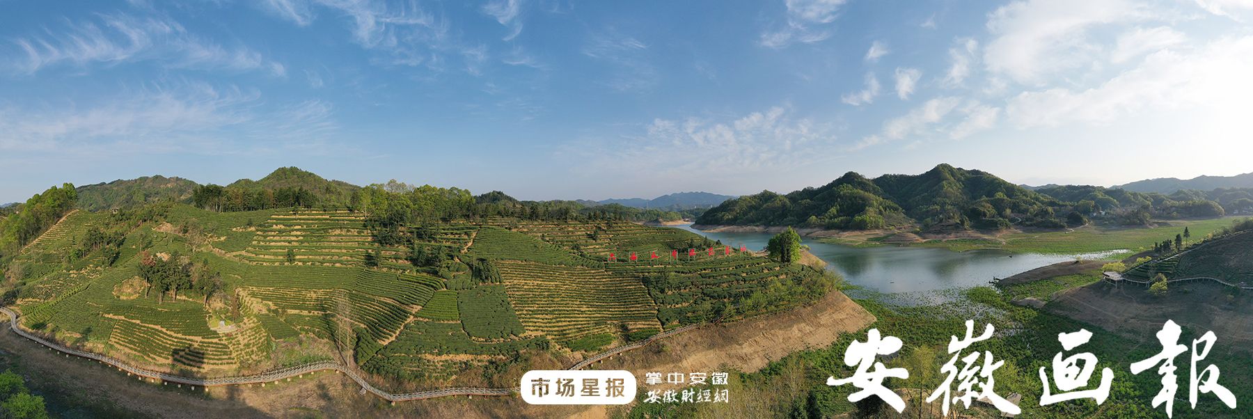 富硒茶陈鸿昌(富硒茶)-硒宝网