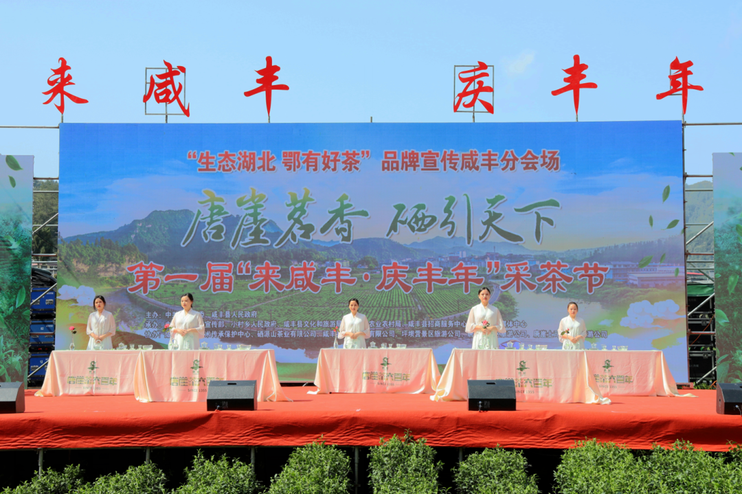 富硒茶主产区（富硒茶产品的市场分析）-硒宝网