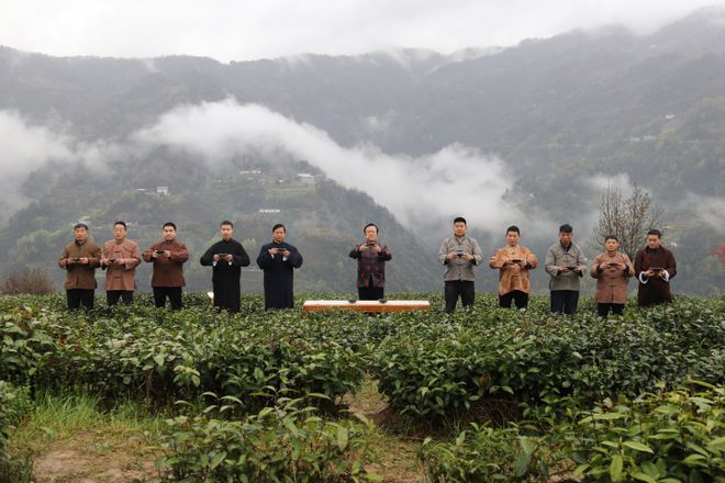 天台县富硒茶(石台富硒茶多少钱一斤)-硒宝网