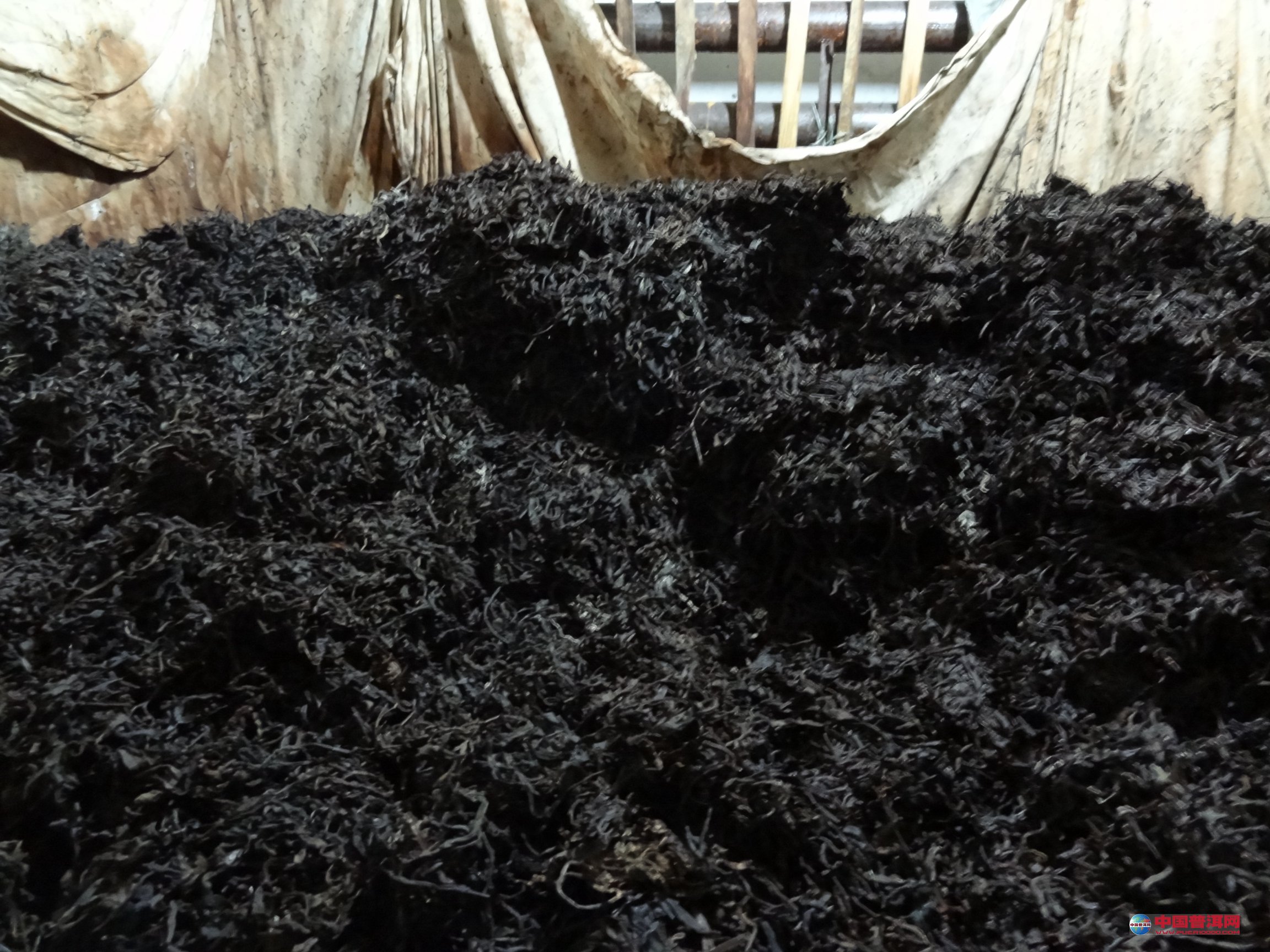 天韵蓝富硒茶(原生态富硒茶叶)-硒宝网