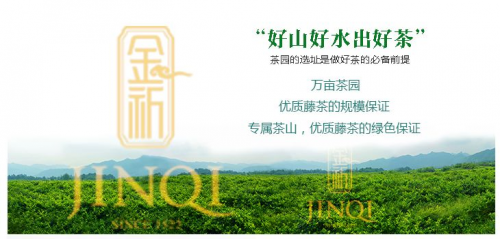 富硒金杞藤茶(富硒藤茶是传销吗)-硒宝网