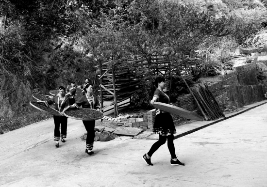 唐崖白富硒茶(富硒白茶价格)-硒宝网