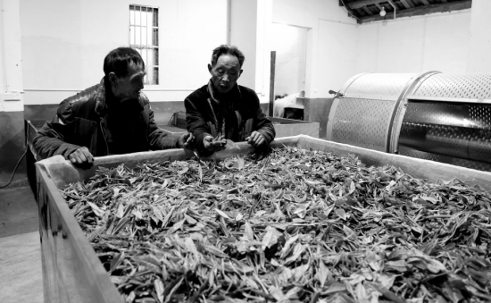 唐崖白富硒茶(富硒白茶价格)-硒宝网