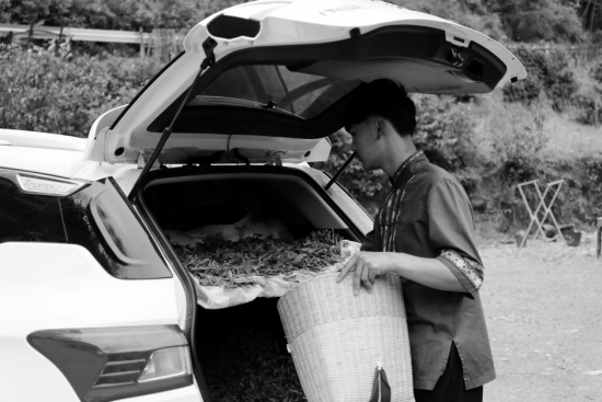 唐崖白富硒茶(富硒白茶价格)-硒宝网