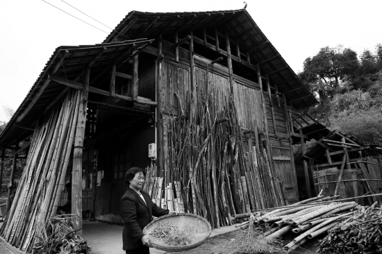 唐崖白富硒茶(富硒白茶价格)-硒宝网