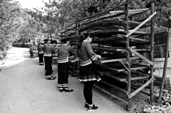 唐崖白富硒茶(富硒白茶价格)-硒宝网