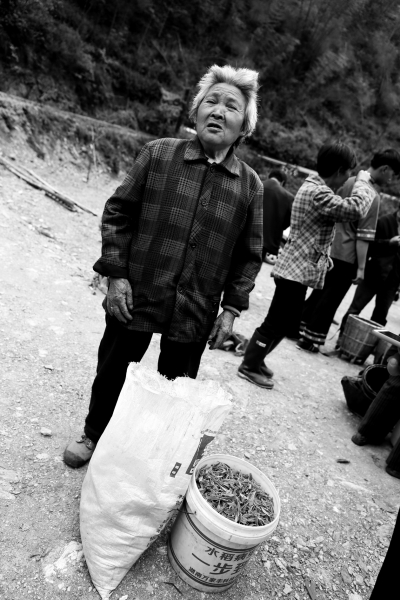 唐崖白富硒茶(富硒白茶价格)-硒宝网