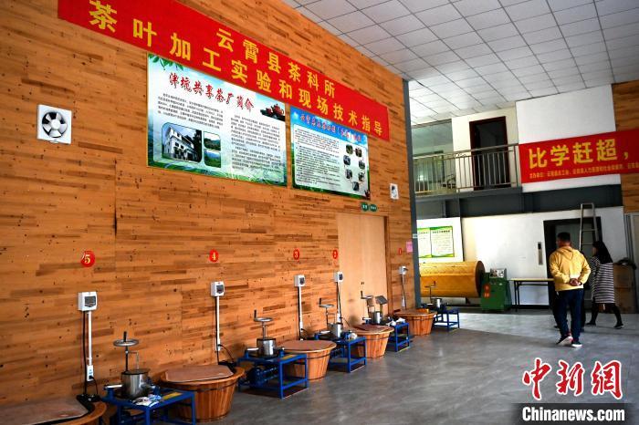 武夷山富硒茶（福建富硒茶）-硒宝网