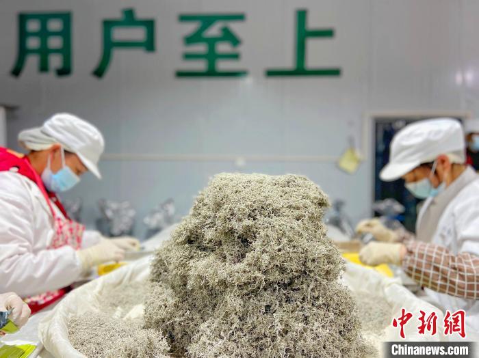 富硒藤茶金祈(富硒藤茶的功效与作用)-硒宝网