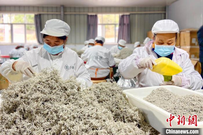 富硒藤茶金祈(富硒藤茶的功效与作用)-硒宝网