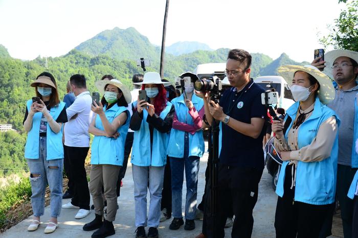 南宫市富硒茶(南宫山富硒茶价格)-硒宝网