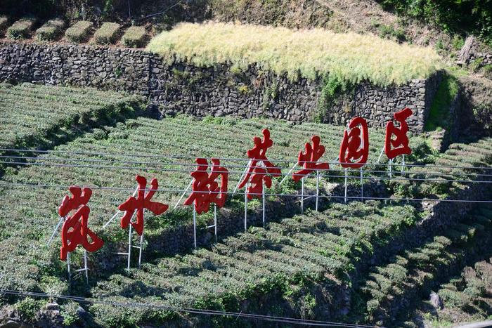 南宫市富硒茶(南宫山富硒茶价格)-硒宝网