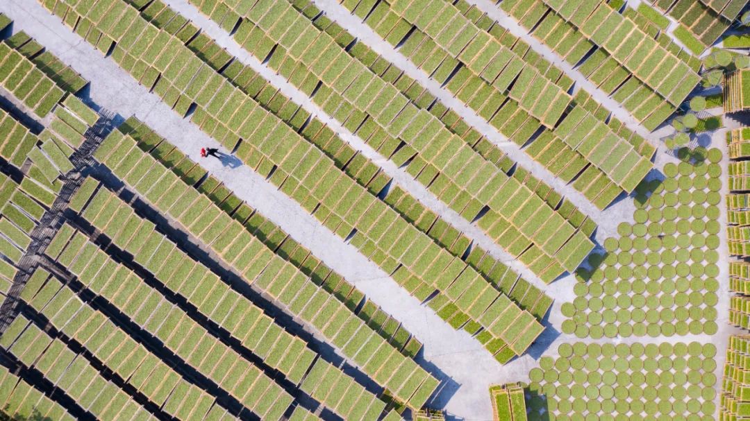 高稀绿富硒茶(富硒绿茶的价位)-硒宝网